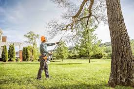 Best Hazardous Tree Removal  in Gray, GA